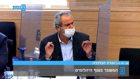 IDE Presents Need for Increased Government Support at Knesset Committee